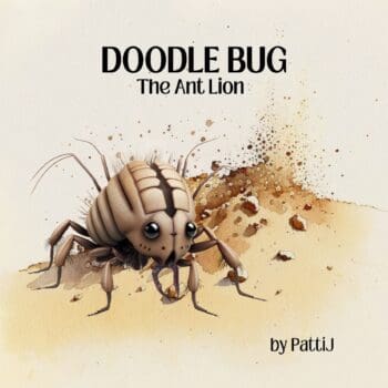 Doodle Bug The Ant Lion