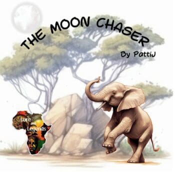 The Moon Chaser