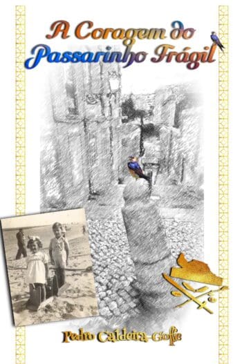 A Coragem do Passarinho Frágil Volume 1 (PPC hardback)