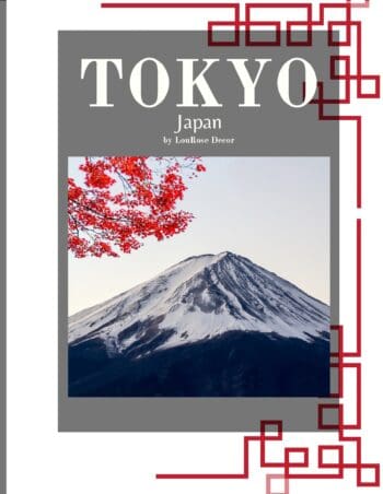 Decorative Books- Tokyo Red