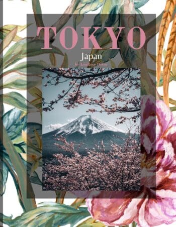 Decorative Books- Tokyo Pink