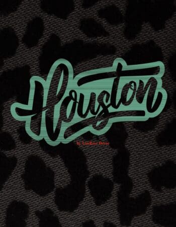 Decorative Book- Houston Black and Green
