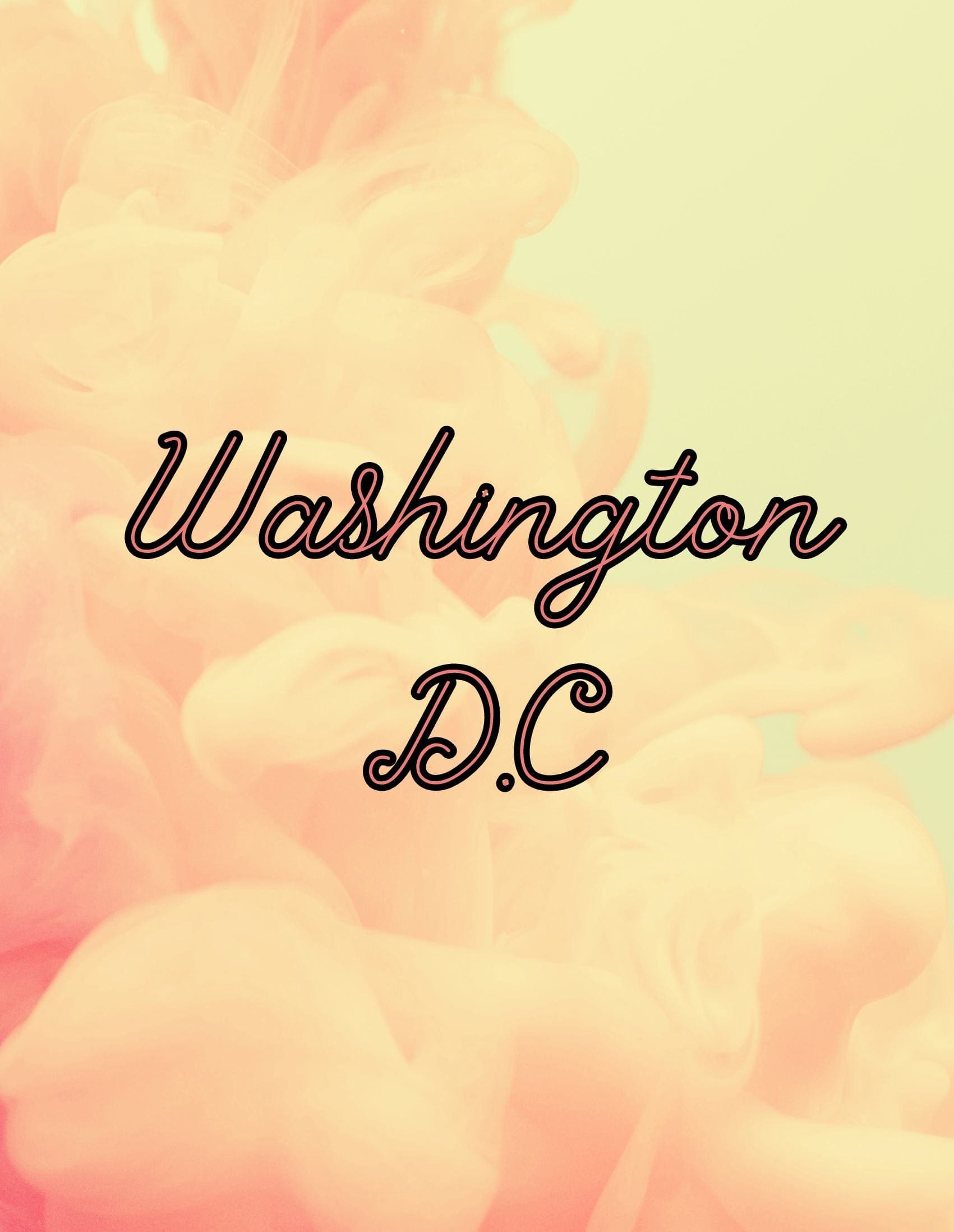 Decorative Book- Washington DC Clouds