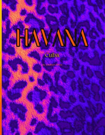 Decorative Book- Havana Orange and Purple
