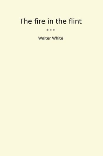 The fire in the flint