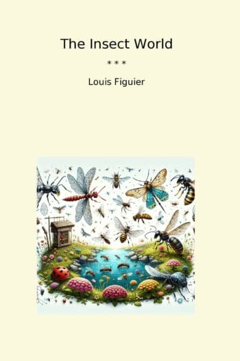 The Insect World