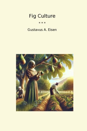 Fig Culture
