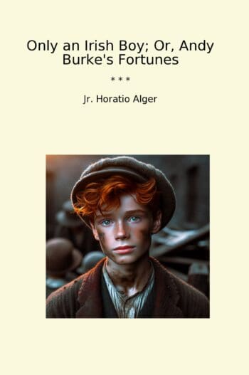 Only an Irish Boy; Or, Andy Burke's Fortunes