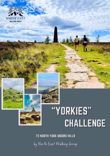 The Yorkies Challenge