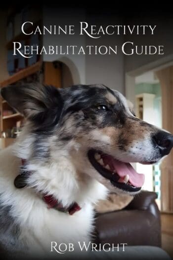 Canine Reactivity Rehabilitation Guide