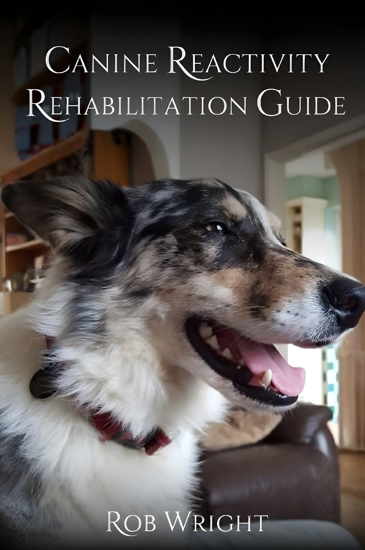 Canine Reactivity Rehabilitation Guide