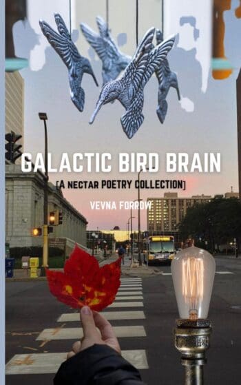 Galactic Bird Brain [A Poetry Collection]