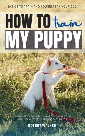 How to Train My Puppy: