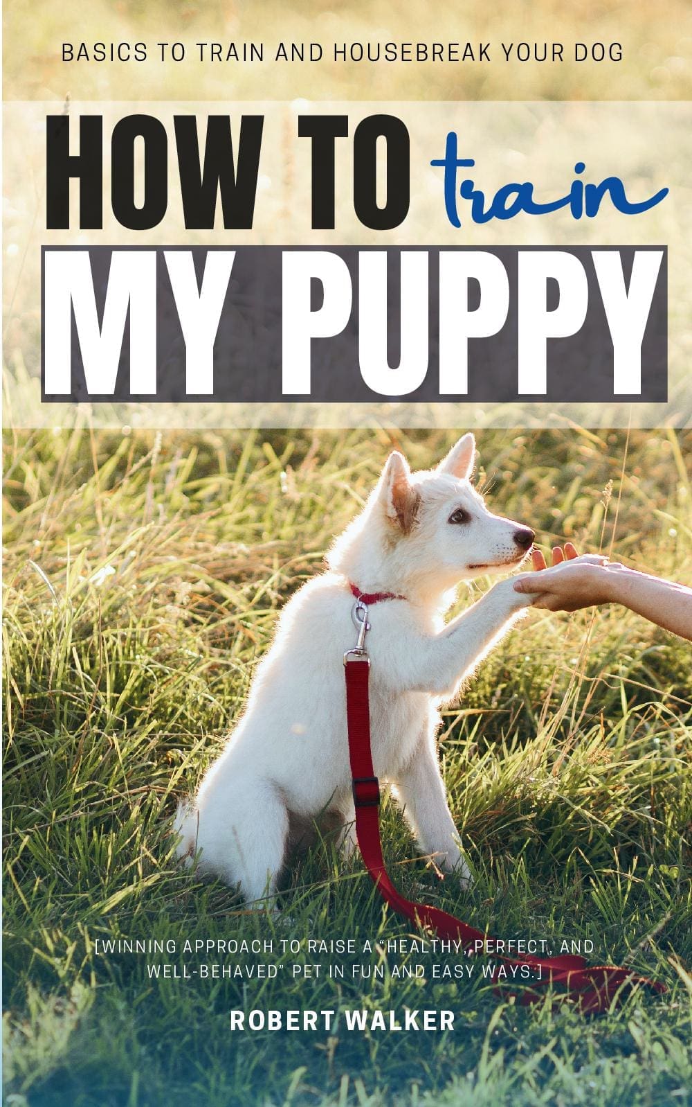 How to Train My Puppy: