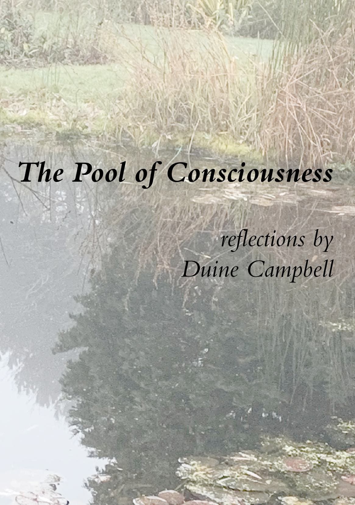 The Pool of Consciousness