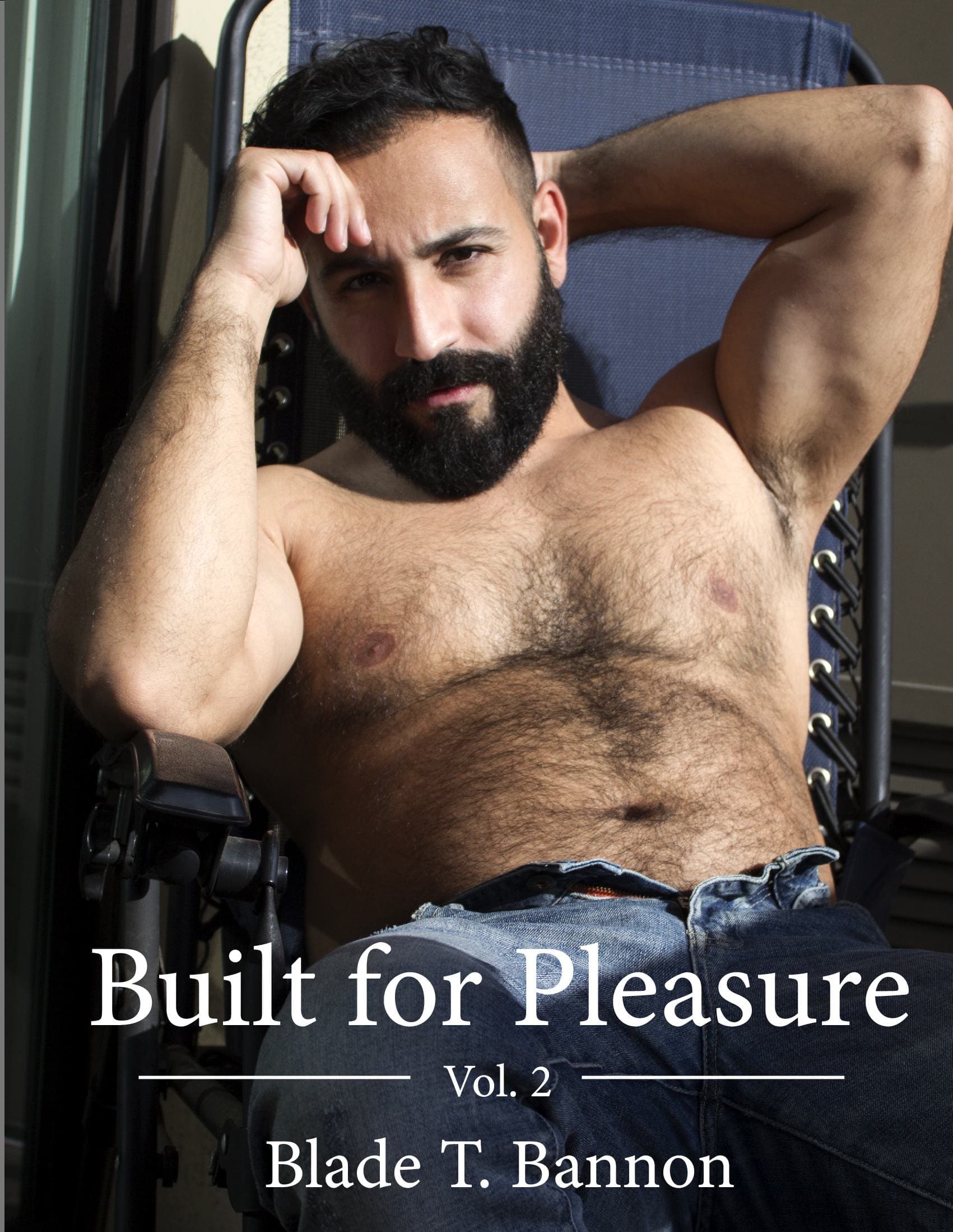 Built for Pleasure Vol. 2