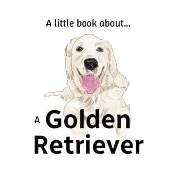 A little book about a Golden Retriever