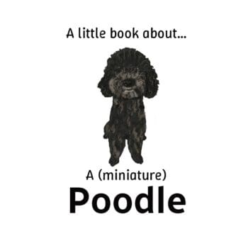 A little book about a (miniature) Poodle