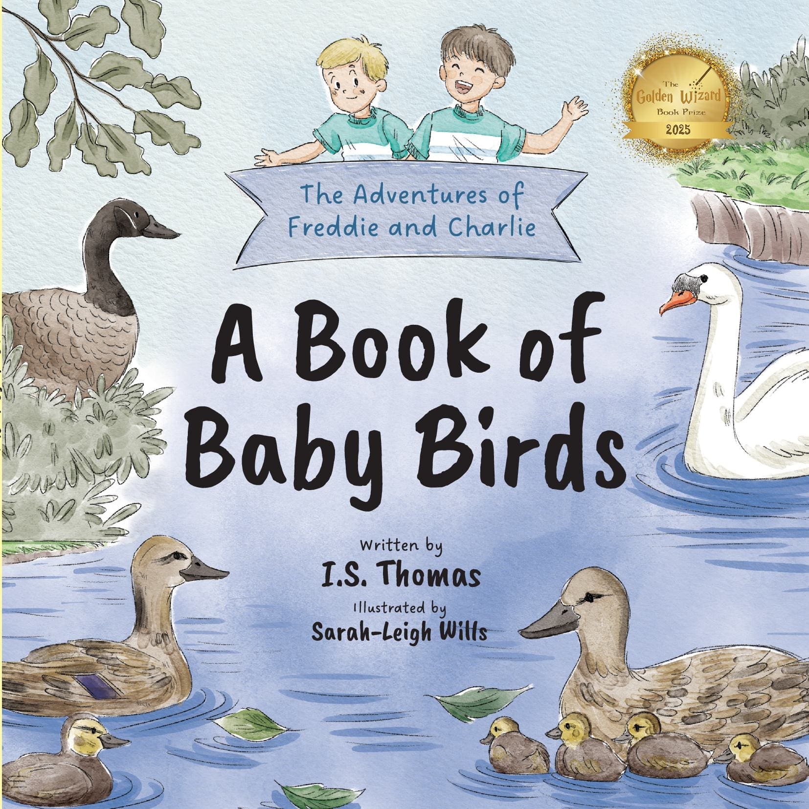 A Book of Baby Birds