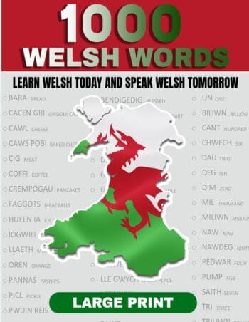 1 000 WELSH WORDS: Learn Welsh Today AND Speak Welsh Tomorrow