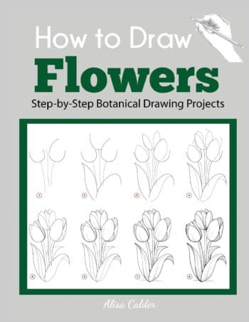 How to Draw Flowers: Step-by-Step Botanical Drawing Projects