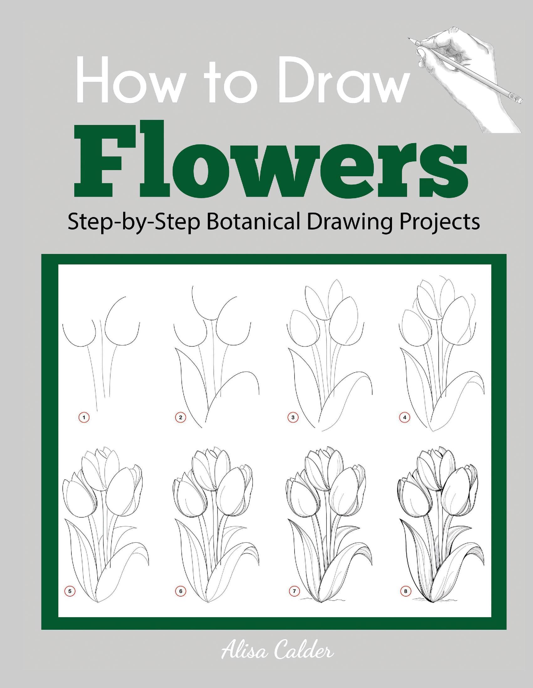 How to Draw Flowers: Step-by-Step Botanical Drawing Projects