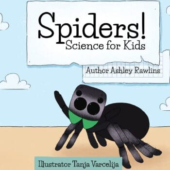 Spiders!