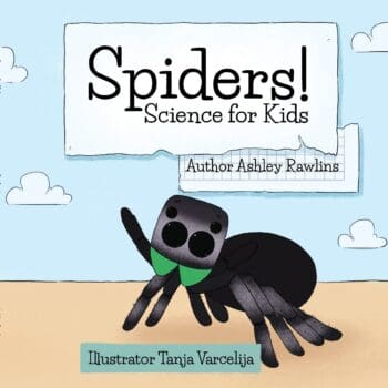Spiders!