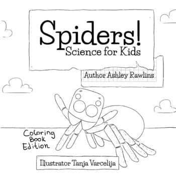 Spiders! Coloring Book Edition