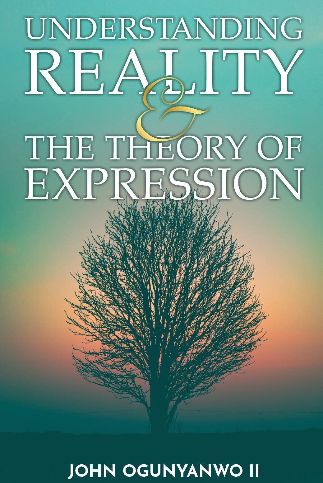 UNDERSTANDING REALITY & THE THEORY OF EXPRESSION