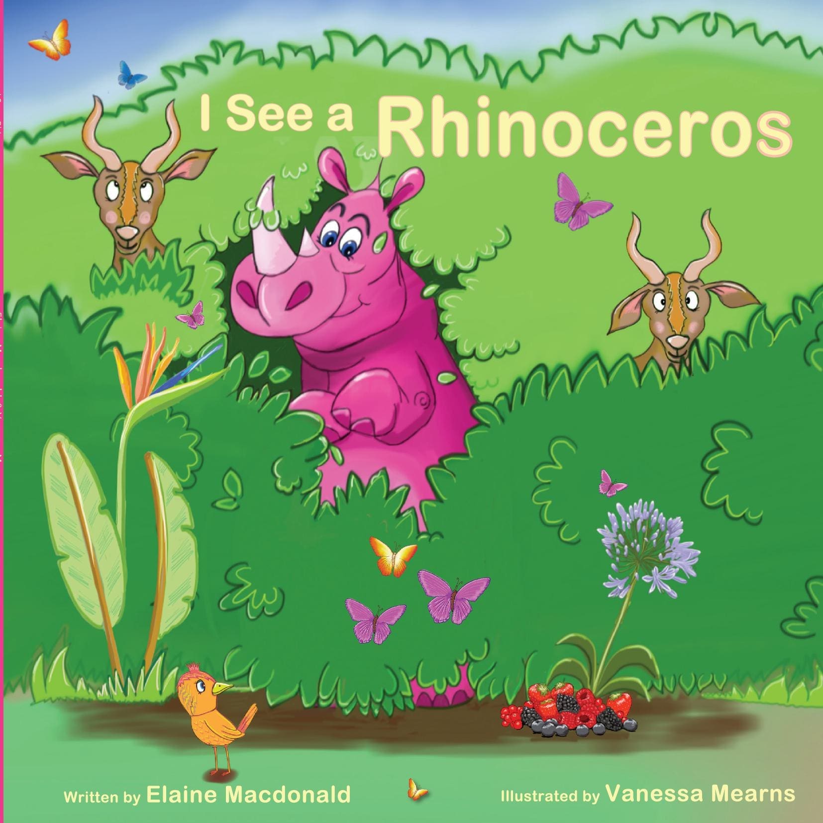 I See A Rhinoceros