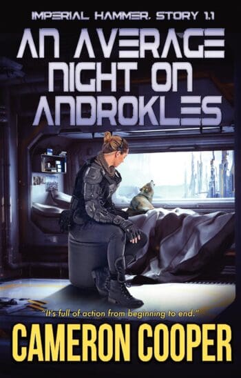 An Average Night on Androkles