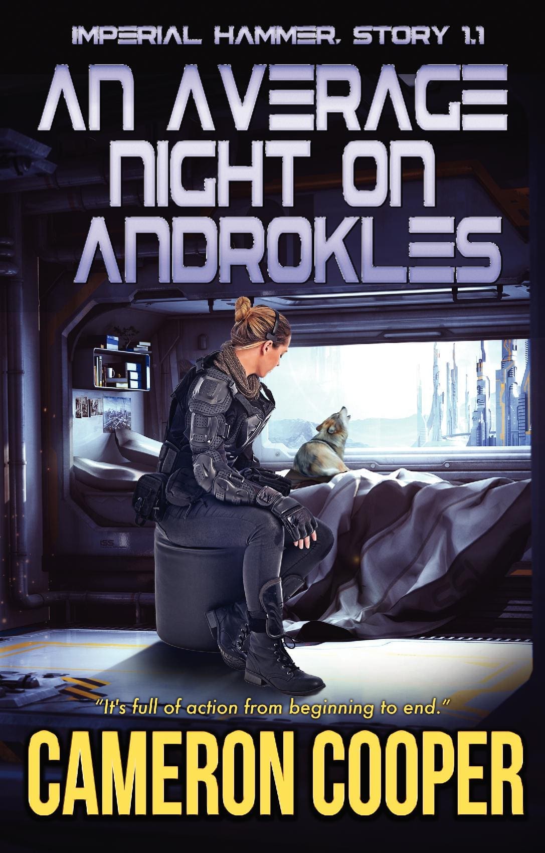 An Average Night on Androkles