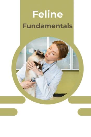 Feline Fundamentals
