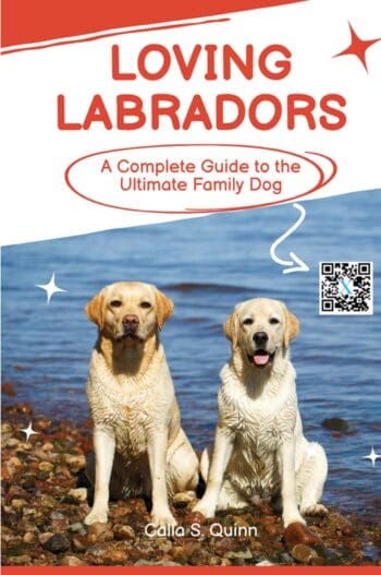 Loving Labradors