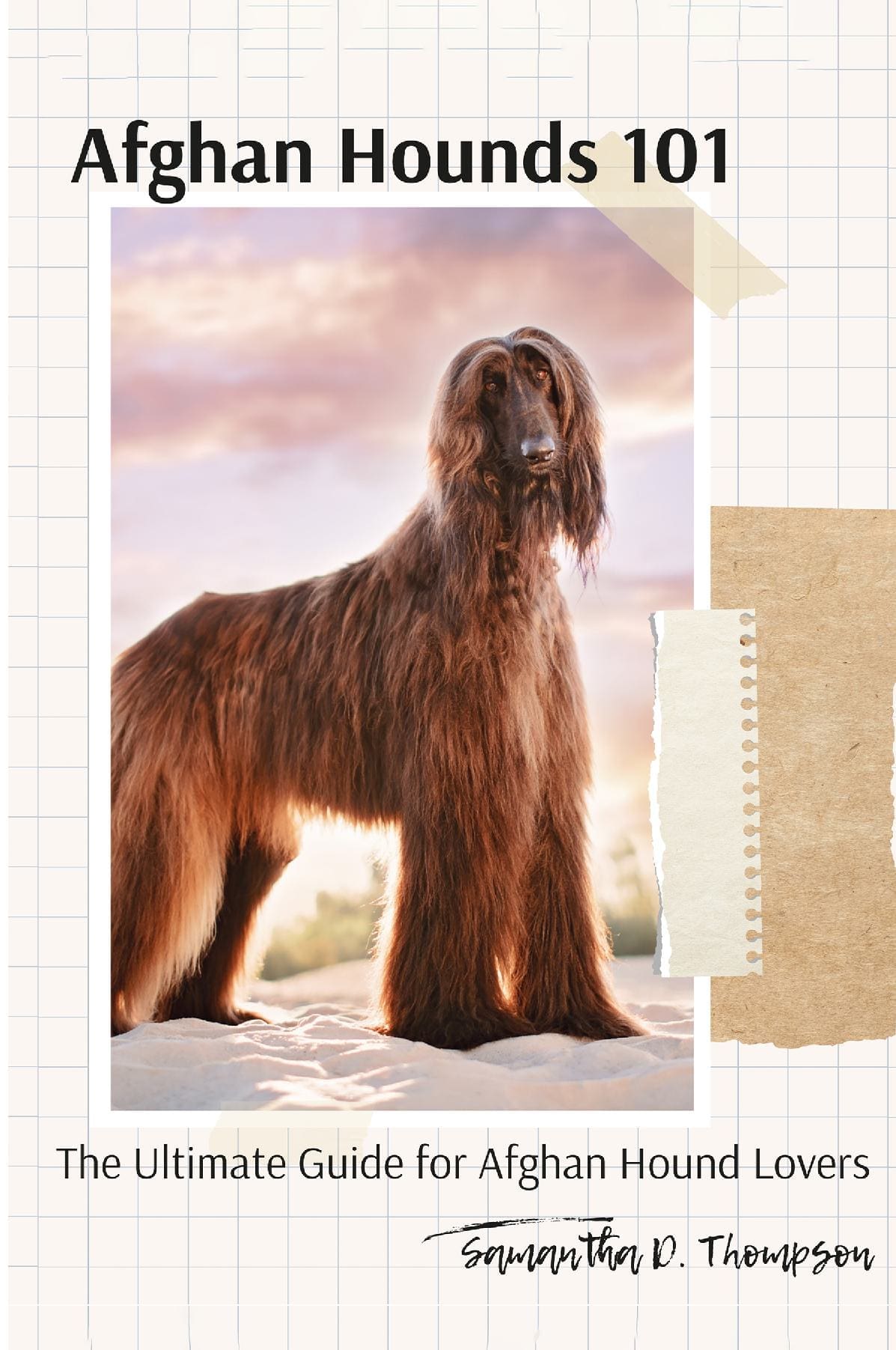 Afghan Hounds 101