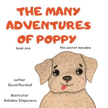 The Many Adventures Of Poppy - The Secret Meadow