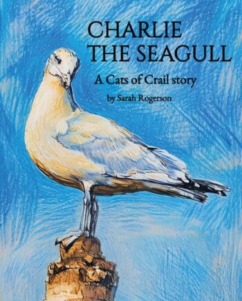 Charlie the Seagull
