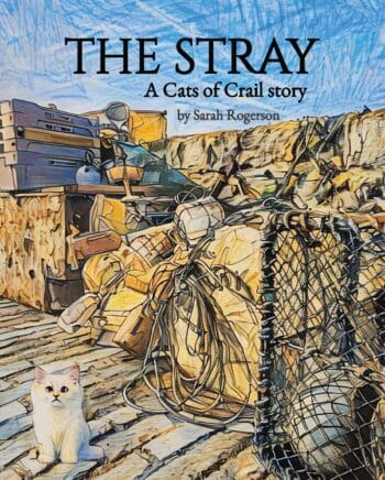 The Stray