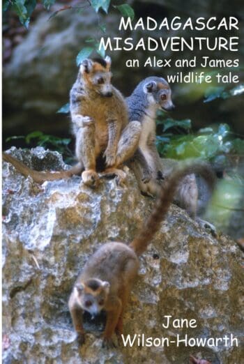 Madagascar Misadventure