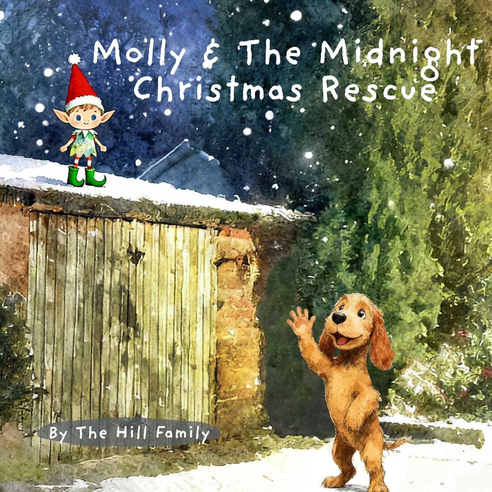 Molly & The Midnight Christmas Rescue