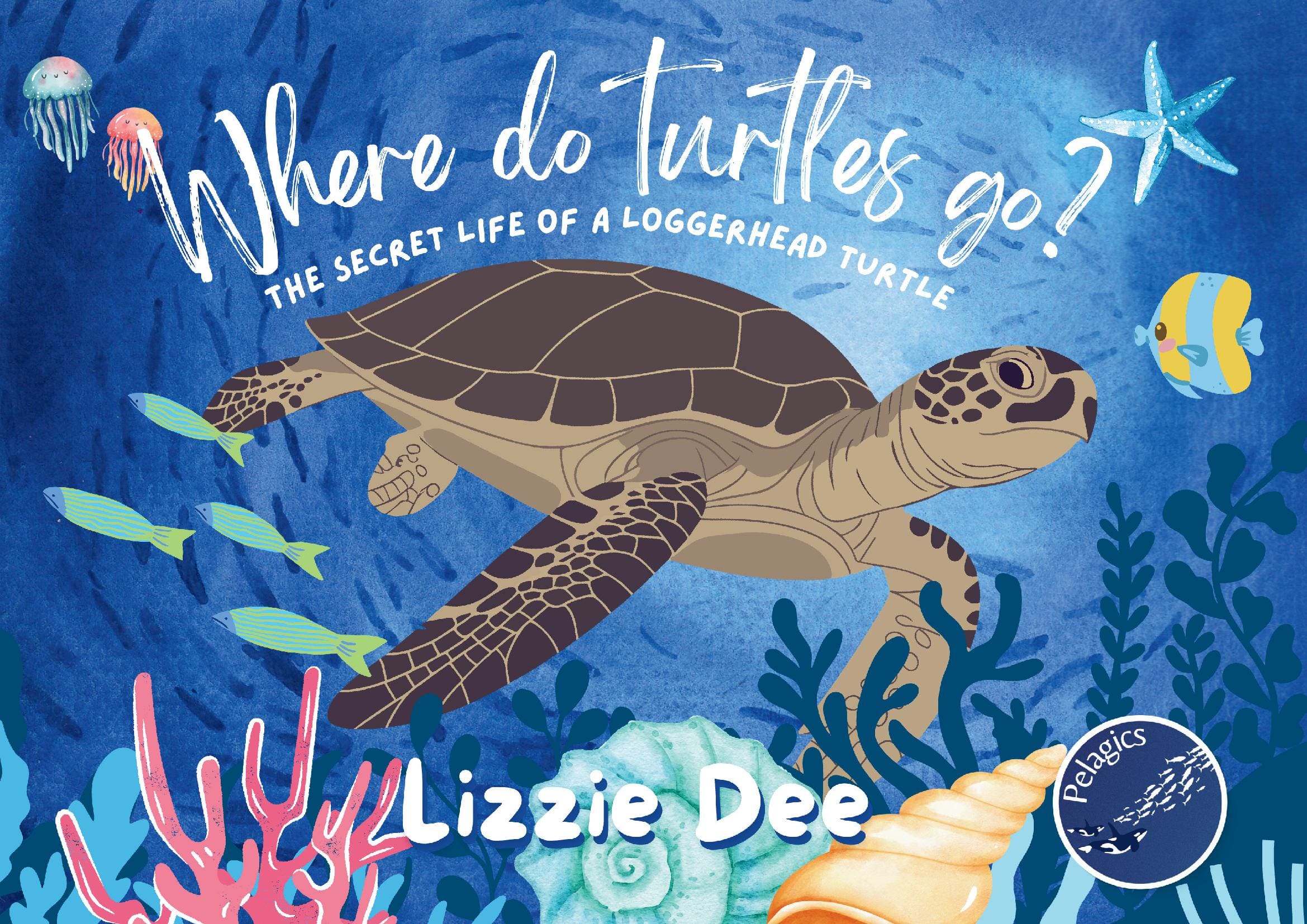 Where do turtles go?