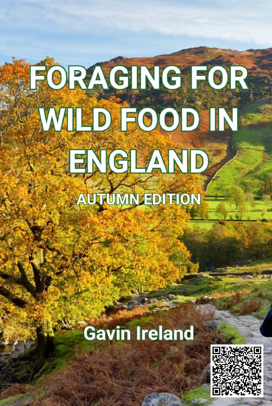 Foraging for Wild Food in England - Autumn edition