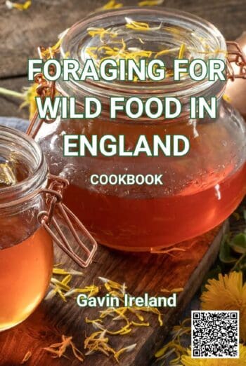 Foraging for Wild Food in England - Cookbook