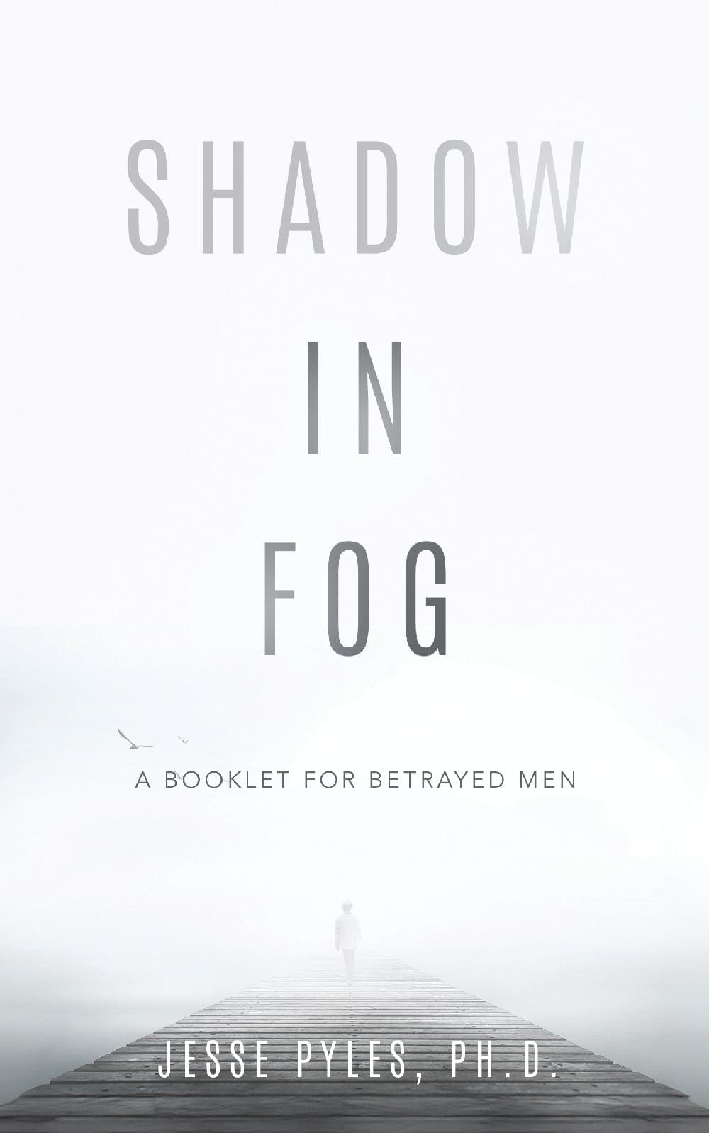 Shadow in Fog