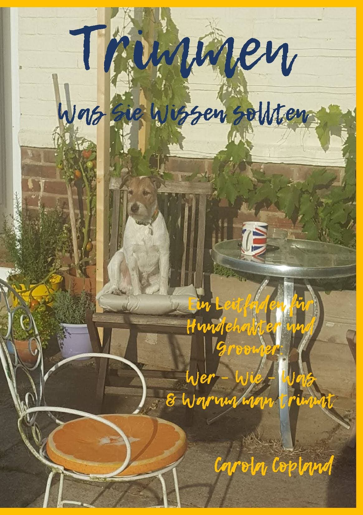 Trimmen - Was Sie wissen sollten