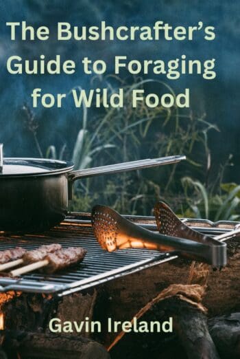 The Bushcrafter's Guide to Foraging for Wild Food