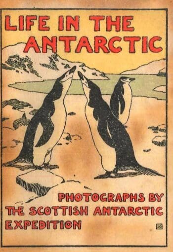 Life in The Antarctic