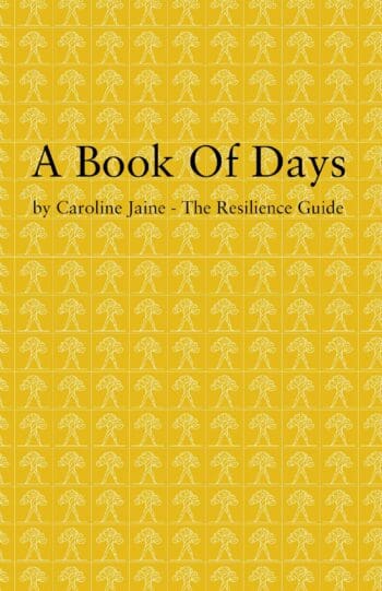 A Book Of Days