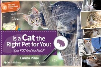 Is a Cat the Right Pet for You - Can You Find the Facts?
